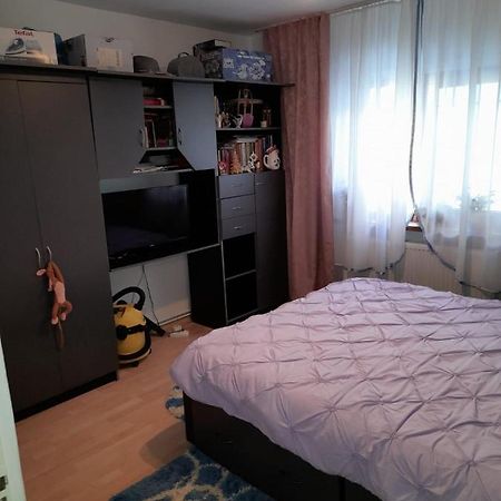 Apartament Straja - Lupeni  Екстер'єр фото