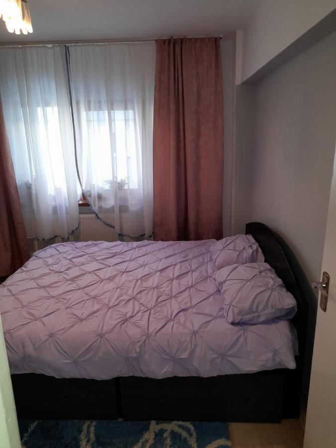 Apartament Straja - Lupeni  Екстер'єр фото