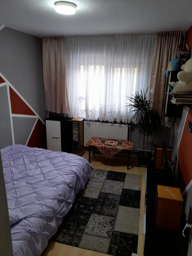 Apartament Straja - Lupeni  Екстер'єр фото